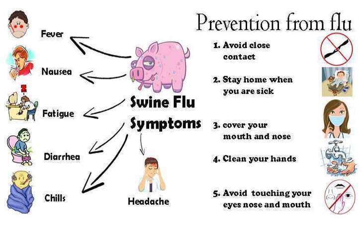 Swine flu cases identified-One out of 7 dies
