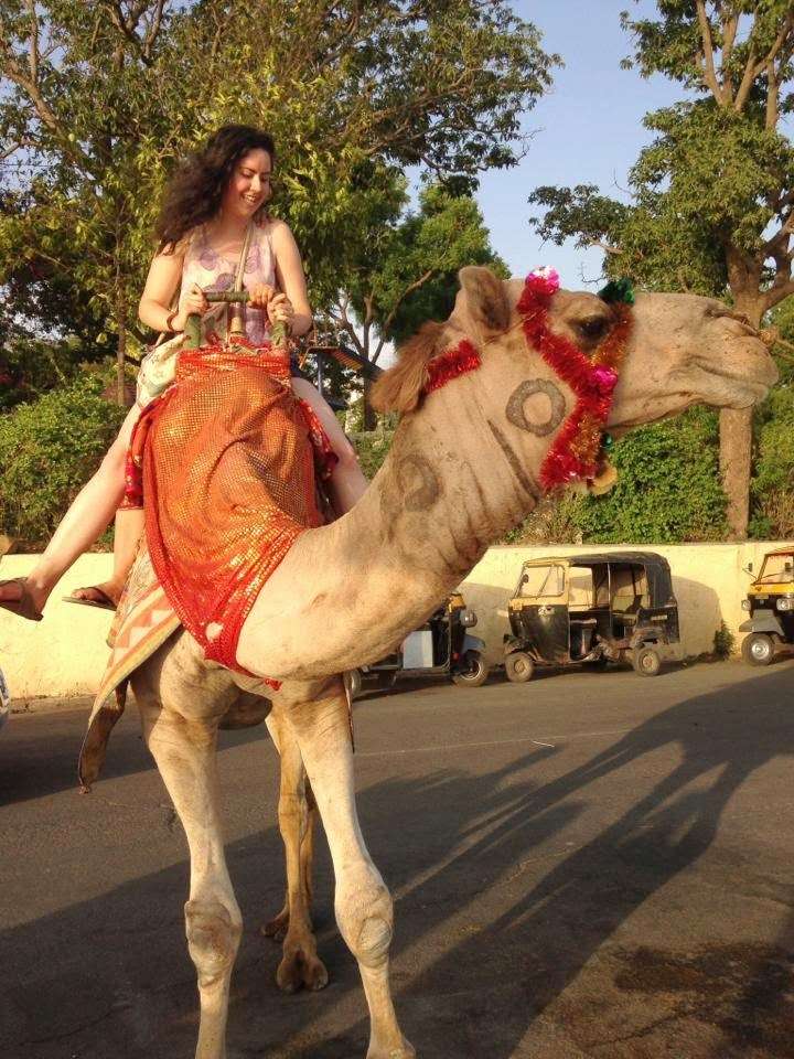 Horse rides and camel rides to entertain public
