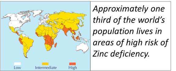 Approximately 2 billion people still remain at the risk of Zinc deficiency