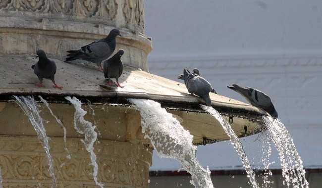 Udaipur simmers in heat