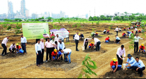 Plantation done by Department of Mining & Geology and MEAI, Rajasthan Chapter at Wonder Cement Plant