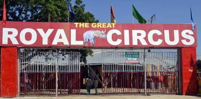The Great Royal Circus in Udaipur