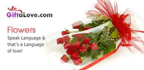 GiftaLove.com- For amazing collection of Flowers to buy Online