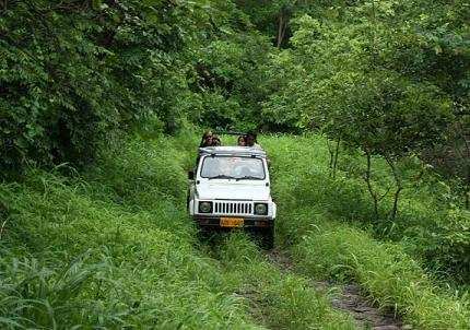 Jungle safari track Kumbhalgarh-Thrilling experience