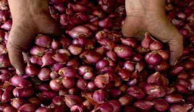 Onion makes them cry again