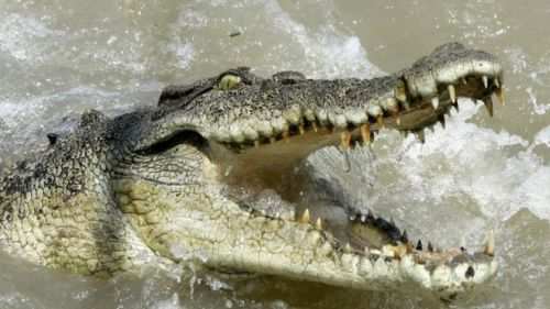 10 year old boy attacked and killed by crocodile