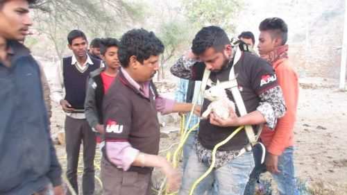 Bravo! Puppy rescued from 200 ft well