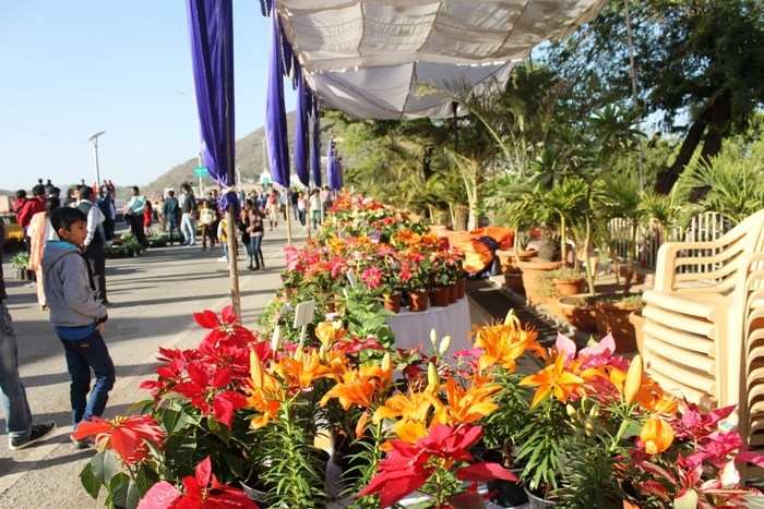 In Pictures | Flower Show 2016 begins at Fatehsagar