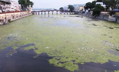 Udaipur lakes to be pollution free by 2018: Siddharth Sihag