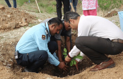 IIM Udaipur Launches Green Campus Drive