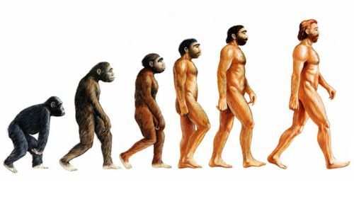 Darwin’s Theory of Evolution?? Not in Indian schools and colleges