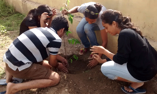 Youth Group ‘Pukar’ plants trees at G-Block UIT Park