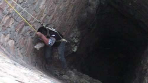Bravo! Puppy rescued from 200 ft well