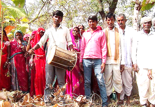 Saffron Water proves as lifeline for trees in Dungarpur