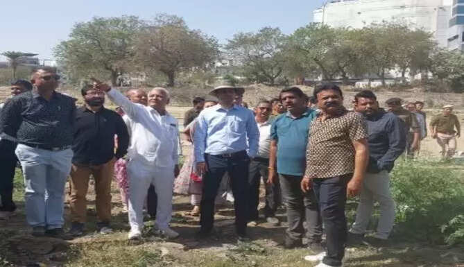 MLA