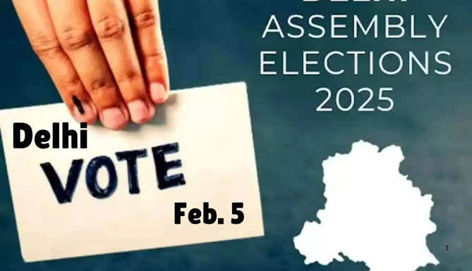 Delhi vote