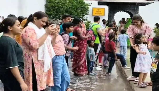 Hariyali Amavas Mela