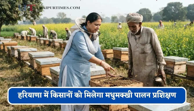 हरियाणा में किसानों को मिलेगा मधुमक्खी पालन प्रशिक्षण, ऐसे करें आवेदन&nbsp;