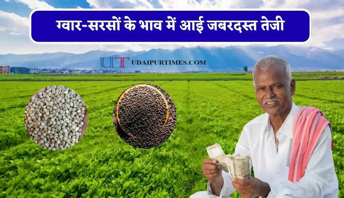 ग्वार-सरसों के भाव में आई जबरदस्त तेजी, देखें सभी फसलों के नए दाम&nbsp;