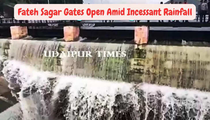 Fateh Sagar Gates