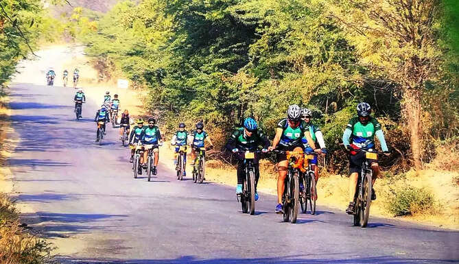 Pedal to Jungle