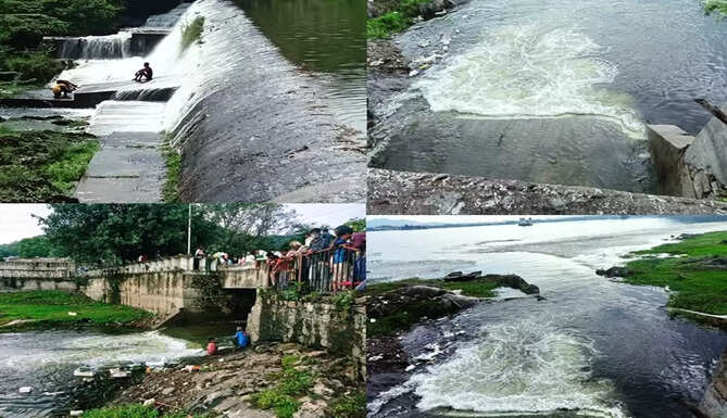 monsoon udaipur