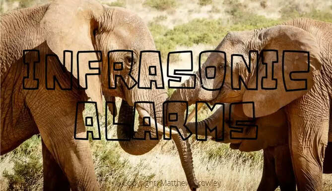 Infrasonic Alarms for Eathquake Warnings by Animals Dr Raza Tehsin