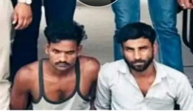 Salumber crime