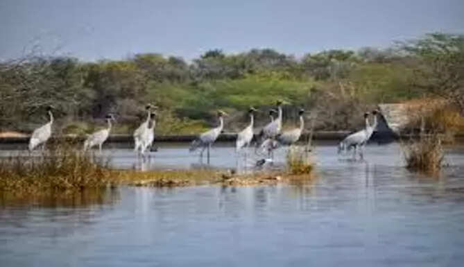 Menar Lake Udaipur