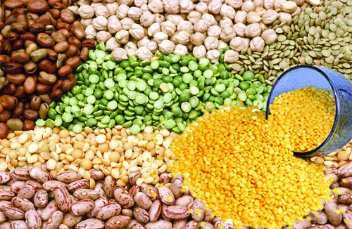 To eat or not to eat-Prices of pulses and onions create a dent on pocket