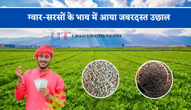 ग्वार-सरसों के भाव में आया जबरदस्त उछाल, देखें सभी मंडियों के नए रेट