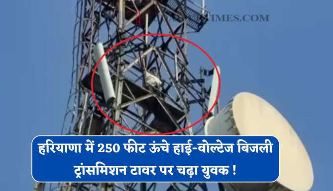 हरियाणा में 250 फीट ऊंचे हाई-वोल्टेज बिजली ट्रांसमिशन टावर पर चढ़ा युवक ! पूरे एरिया की बिजली करानी पड़ी बंद