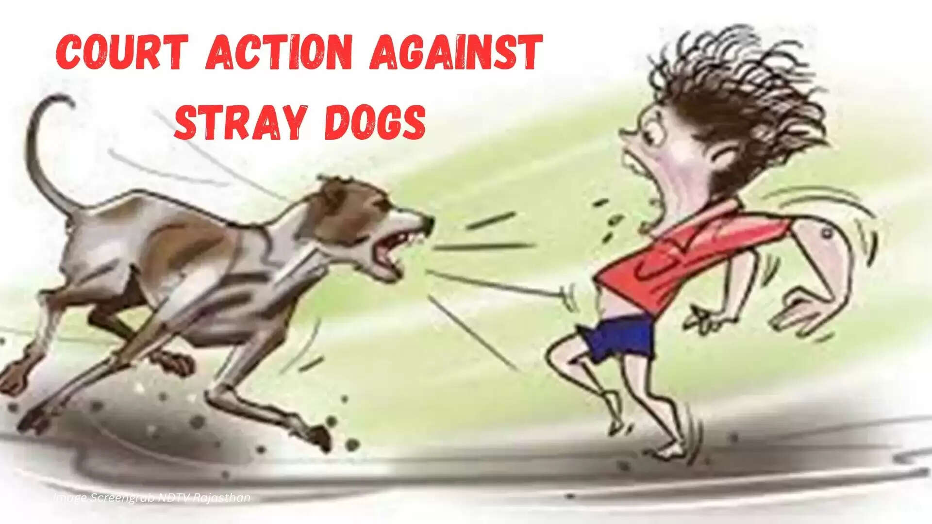 Stray Dogs