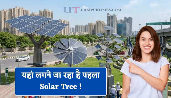 यहां लगने जा रहा है पहला Solar Tree ! जाने कितना फायदेमंद और कैसे करेगा काम ?&nbsp;