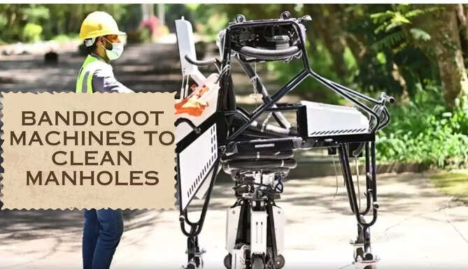 Bandicoot 