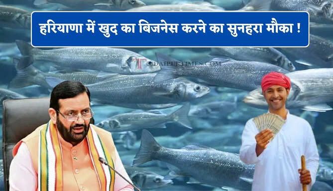 हरियाणा में खुद का बिजनेस करने का सुनहरा मौका ! विभाग देगा 3 करोड़ तक की सब्सिडी