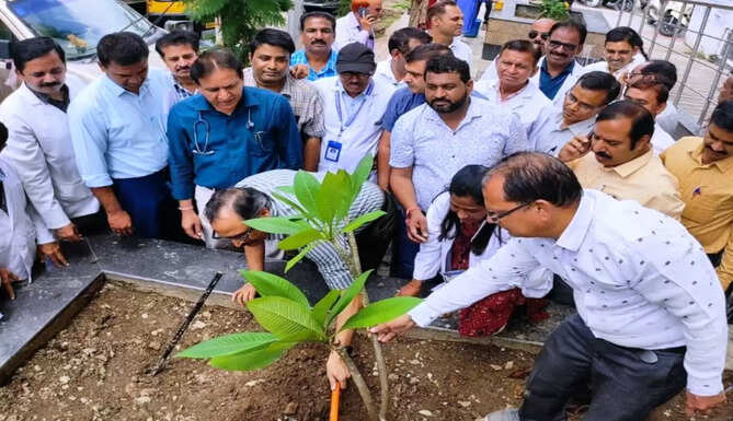 plantation