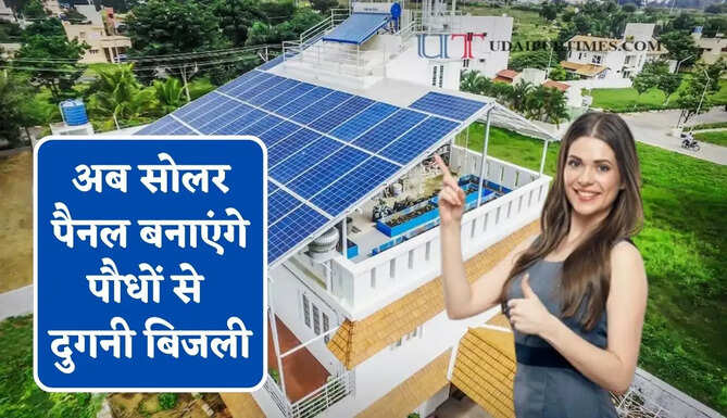अब सोलर पैनल बनाएंगे पौधों से दुगनी बिजली, जाने क्या है नई Bio Solar टेक्नोलॉजी ?&nbsp;