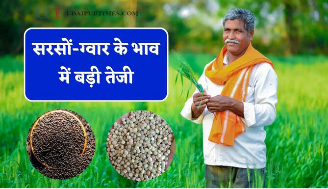 सरसों-ग्वार के भाव में बड़ी तेजी, देखें सभी मंडियों के नए रेट