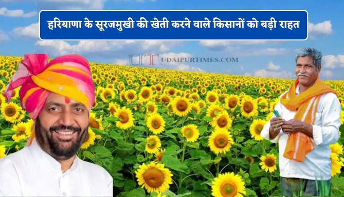 हरियाणा के सूरजमुखी की खेती करने वाले किसानों को बड़ी राहत, CM सैनी ने किया बड़ा ऐलान&nbsp;