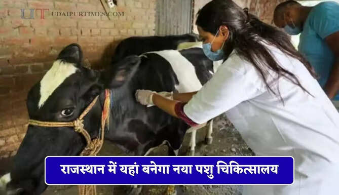 राजस्थान में यहां बनेगा नया पशु चिकित्सालय, पशुपालकों को मिली बड़ी सौगात&nbsp;
