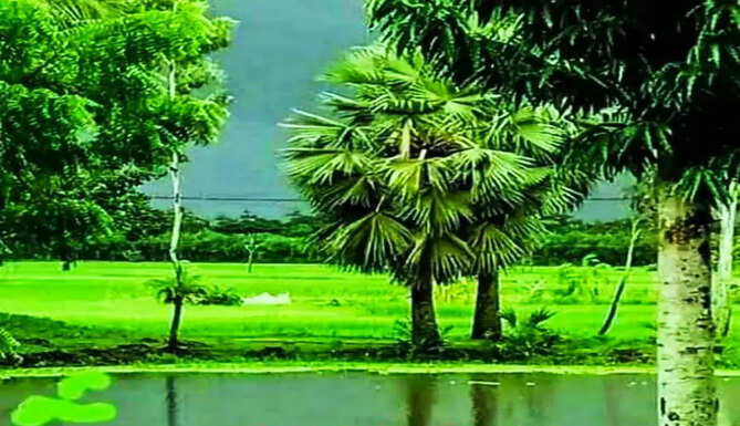 World Environment Day 2024 Udaipur