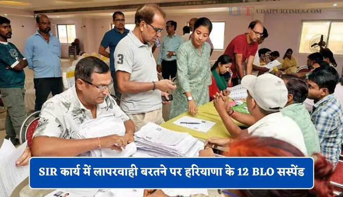SIR कार्य में लापरवाही बरतने पर हरियाणा के 12 BLO सस्पेंड, DC ने दिए निर्देश&nbsp;