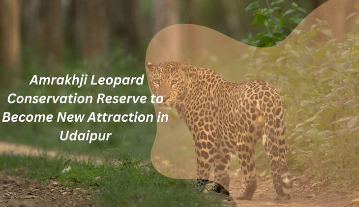 Amarkhji Leopard Conservation 