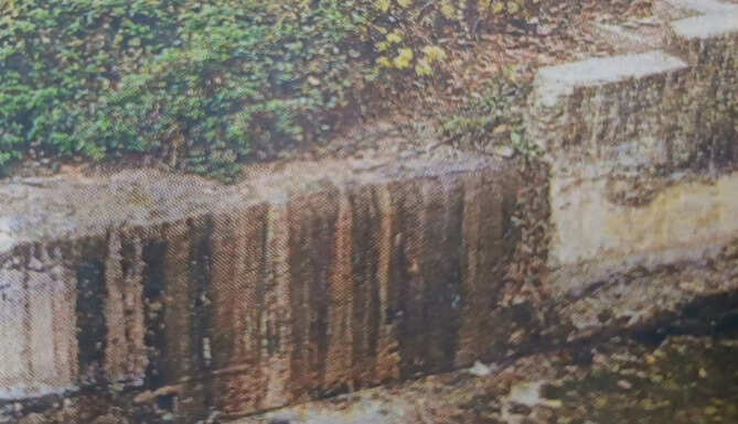 Link Canal