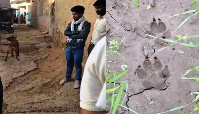 missing girl in jhadol