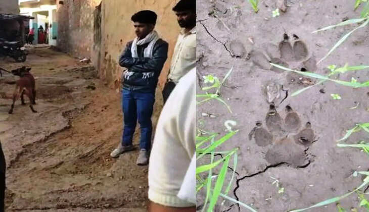 missing girl in jhadol