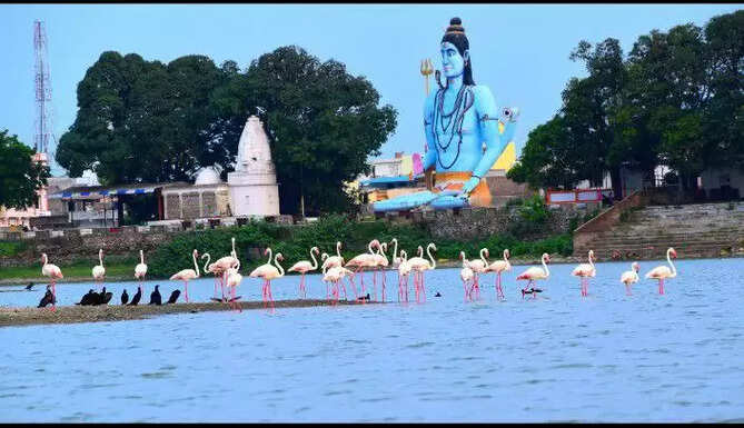 Menar VIllage Best Tourism Villages in India