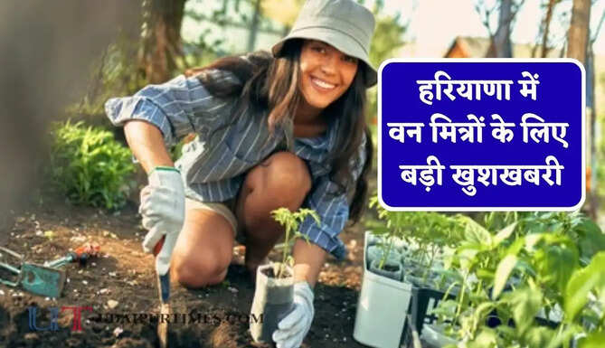 हरियाणा में वन मित्रों के लिए बड़ी खुशखबरी, मंत्री ने अधिकारियों को दिए सख्त निर्देश