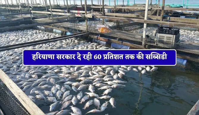 हरियाणा सरकार दे रही 60 प्रतिशत तक की सब्सिडी, जल्दी शुरू करें खुद का ये बिजनेस&nbsp;